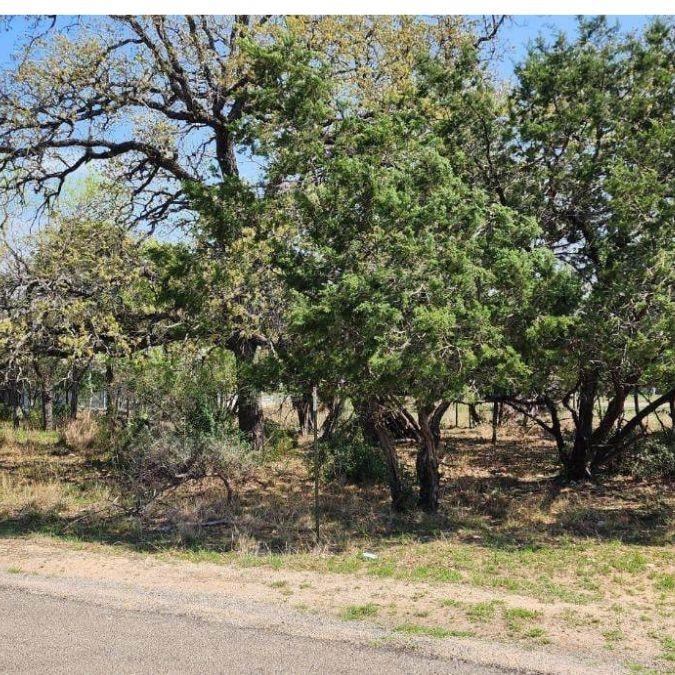 Property Photo:  Lot 308 Cypress Lane  TX 78657 