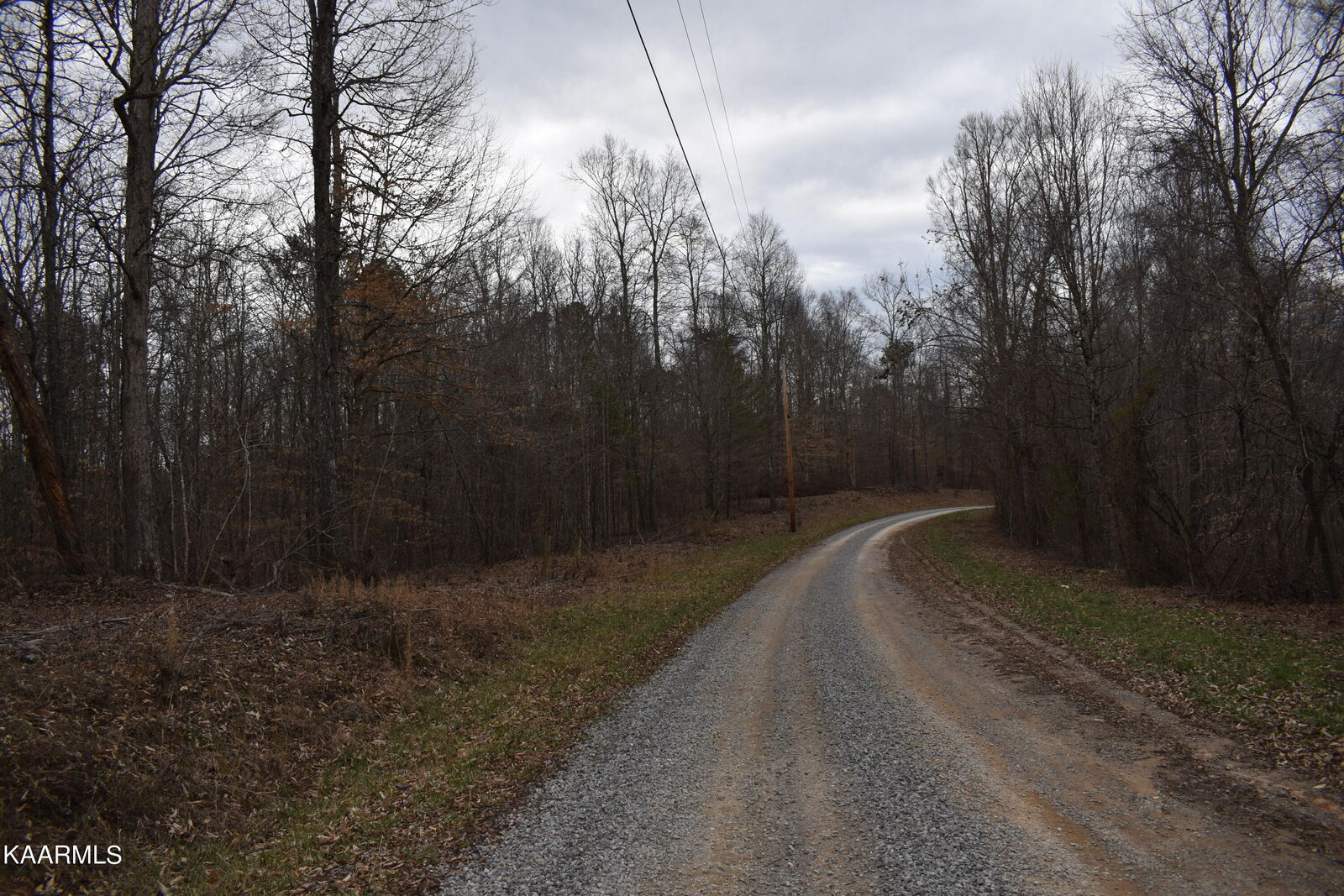 Property Photo:  Lot 7 Jones Ridge Rd  TN 37870 