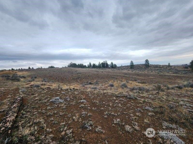 Property Photo:  405 Wild Turkey Road  WA 98802 