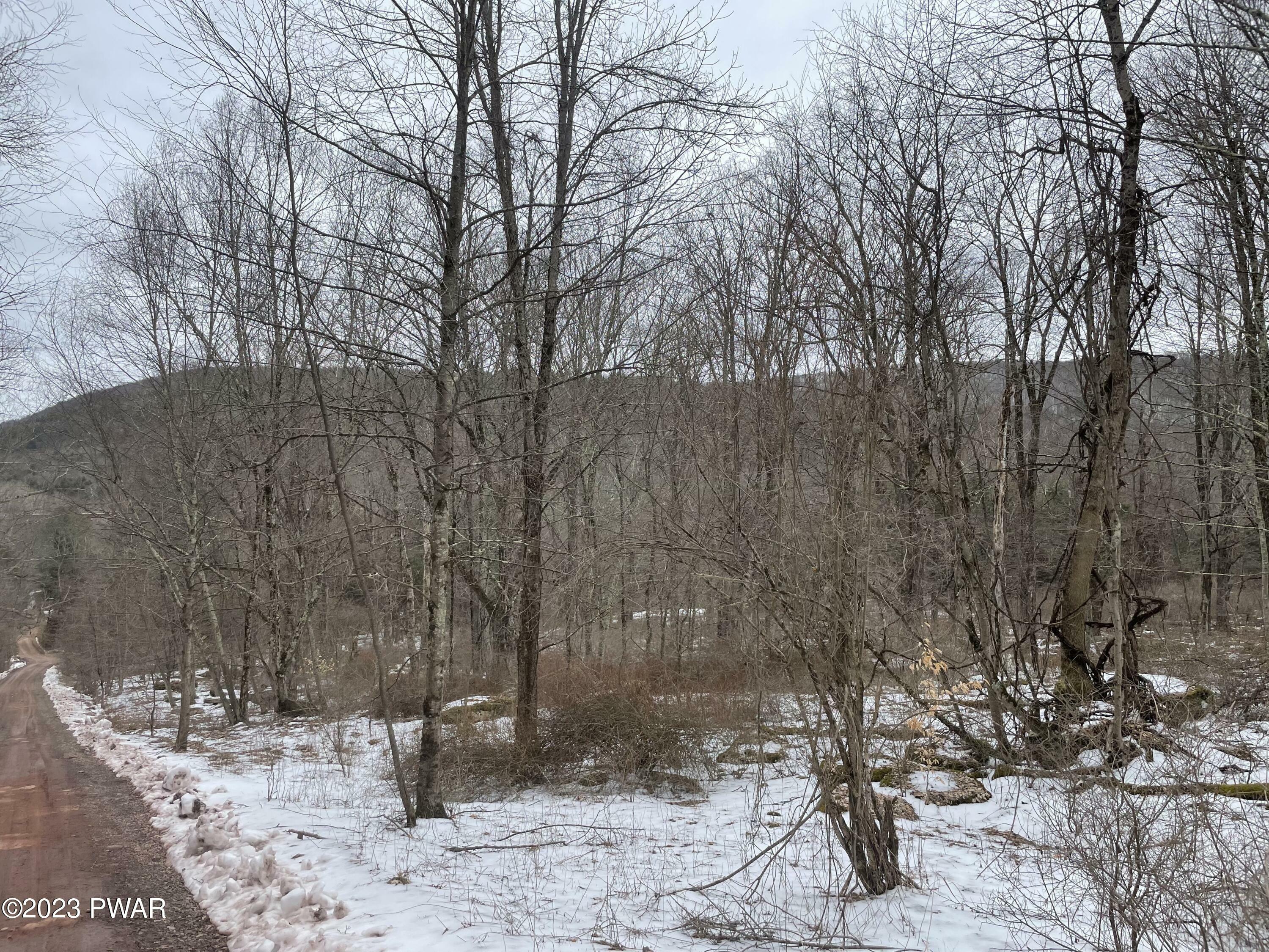 Property Photo:  Coyote Lane  PA 18417 