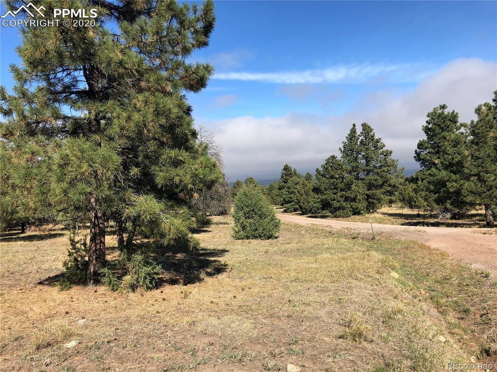 Property Photo:  Ponderosa Pine Dr  CO 81023 