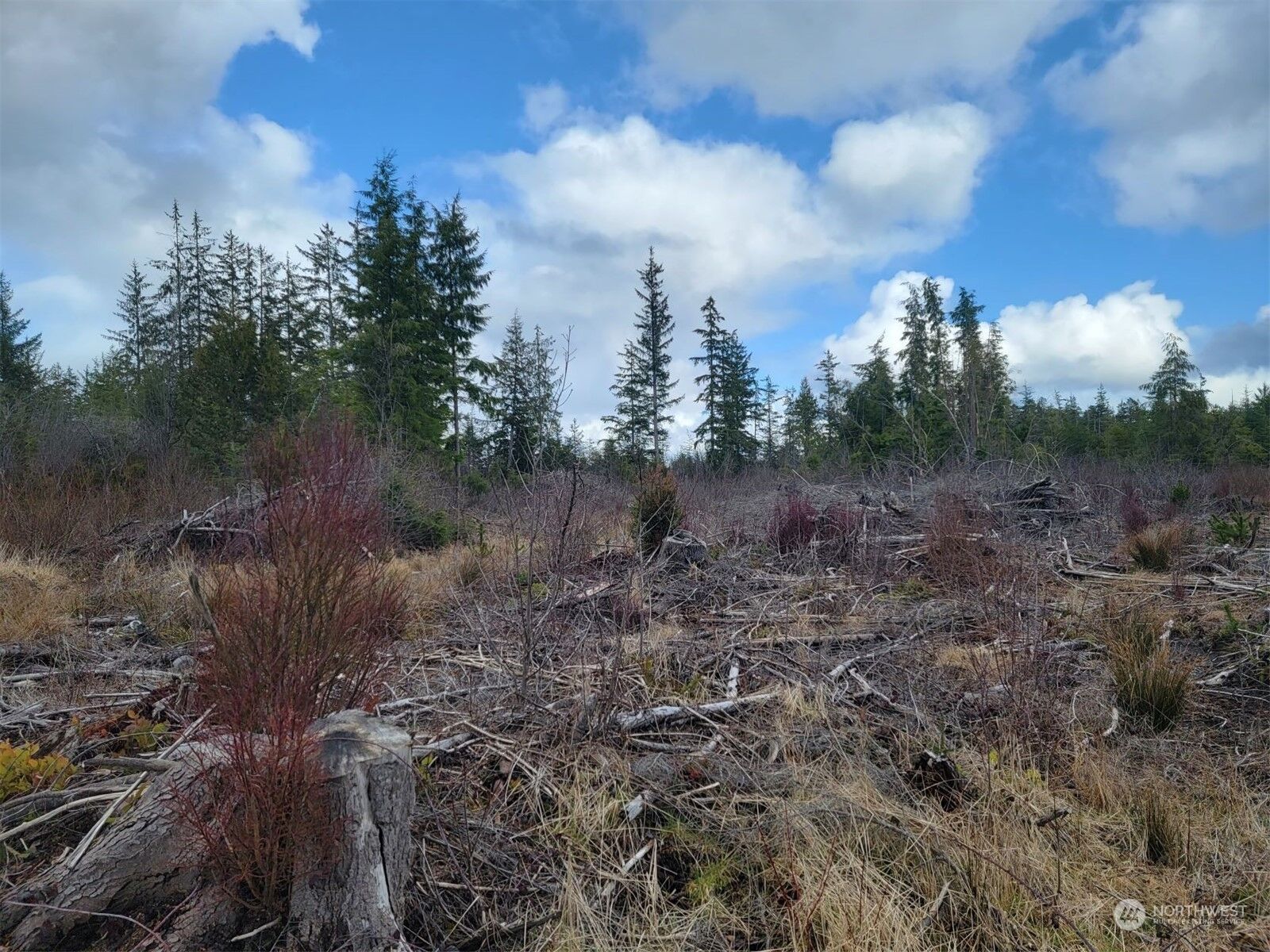 Property Photo: 0 Xxx Ocean Beach Road WA 98550