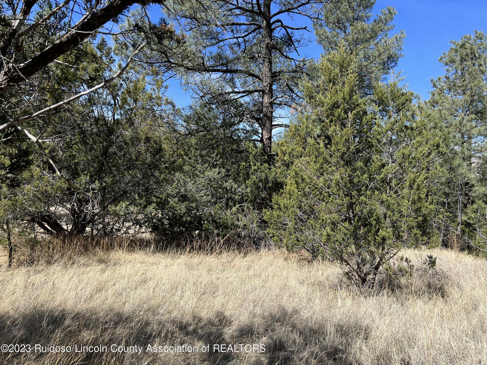 Property Photo:  124 Agua Fria Drive  NM 88346 