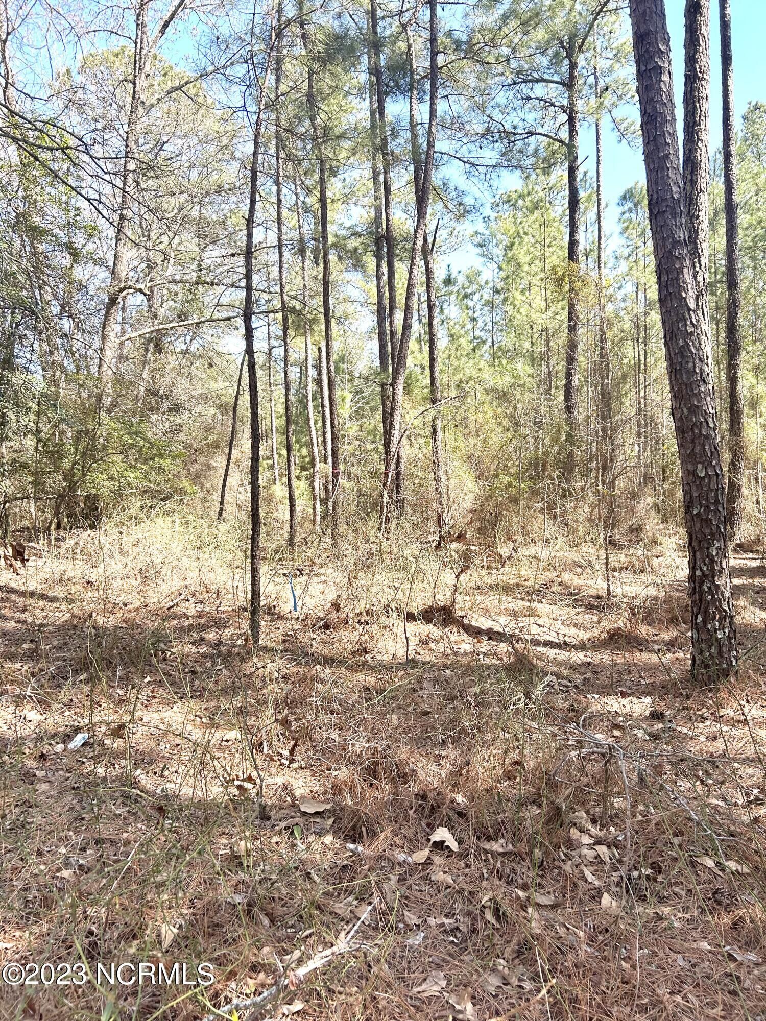 Property Photo: Tbd Niagara Carthage, Lot 1 Road NC 28327