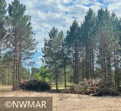 Property Photo:  7570 Ness Road NW  MN 56601 