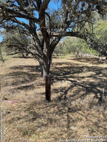 Property Photo:  23311 Trumbo Rd  TX 78264 
