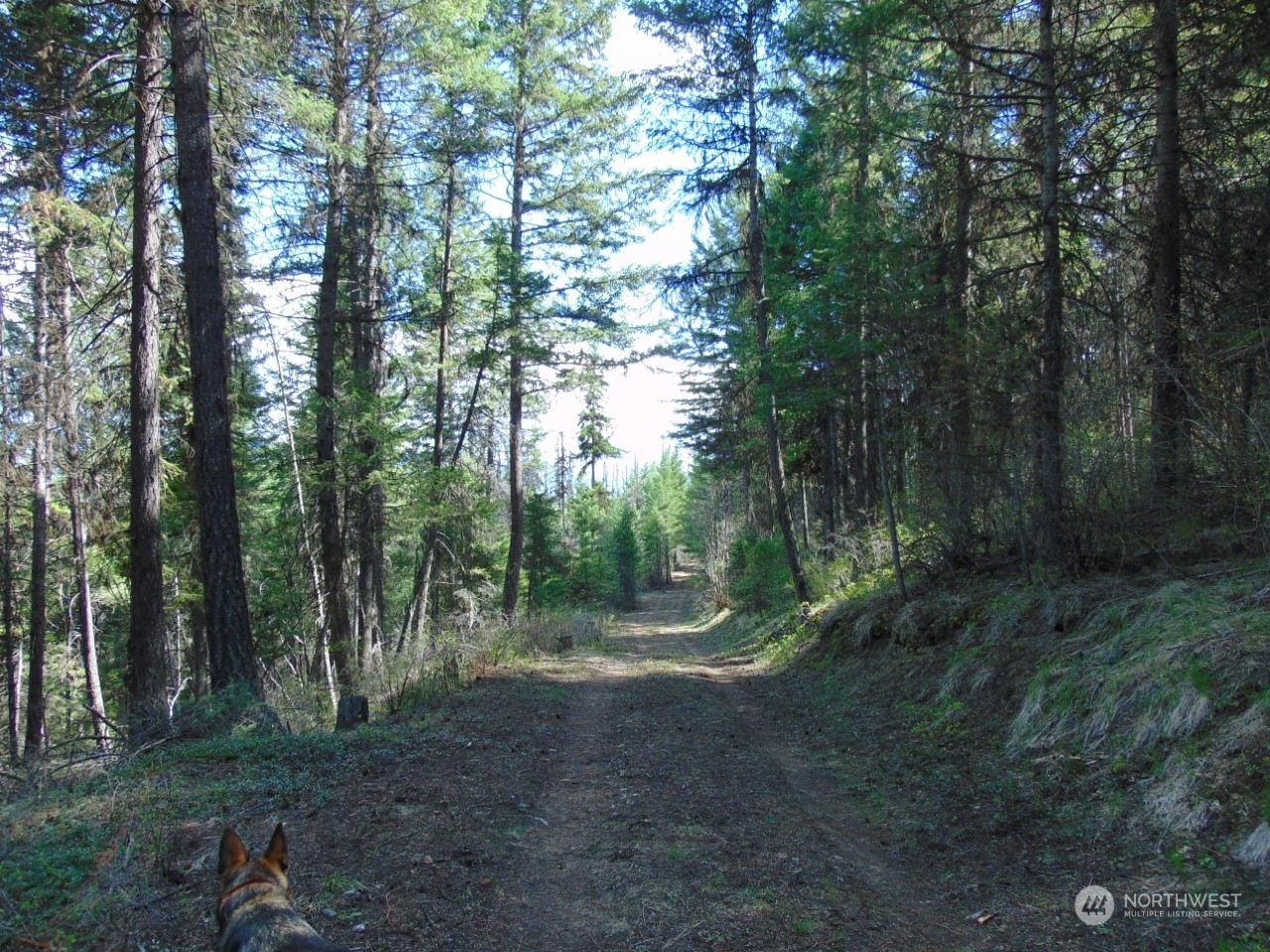 Property Photo: 0 Tbd Rose Haven Circle WA 99166