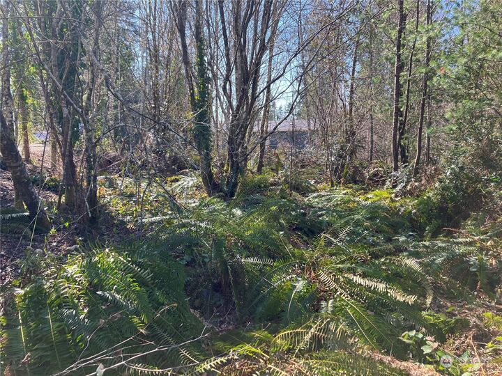 Property Photo: 112 E Olympic View Drive WA 98528