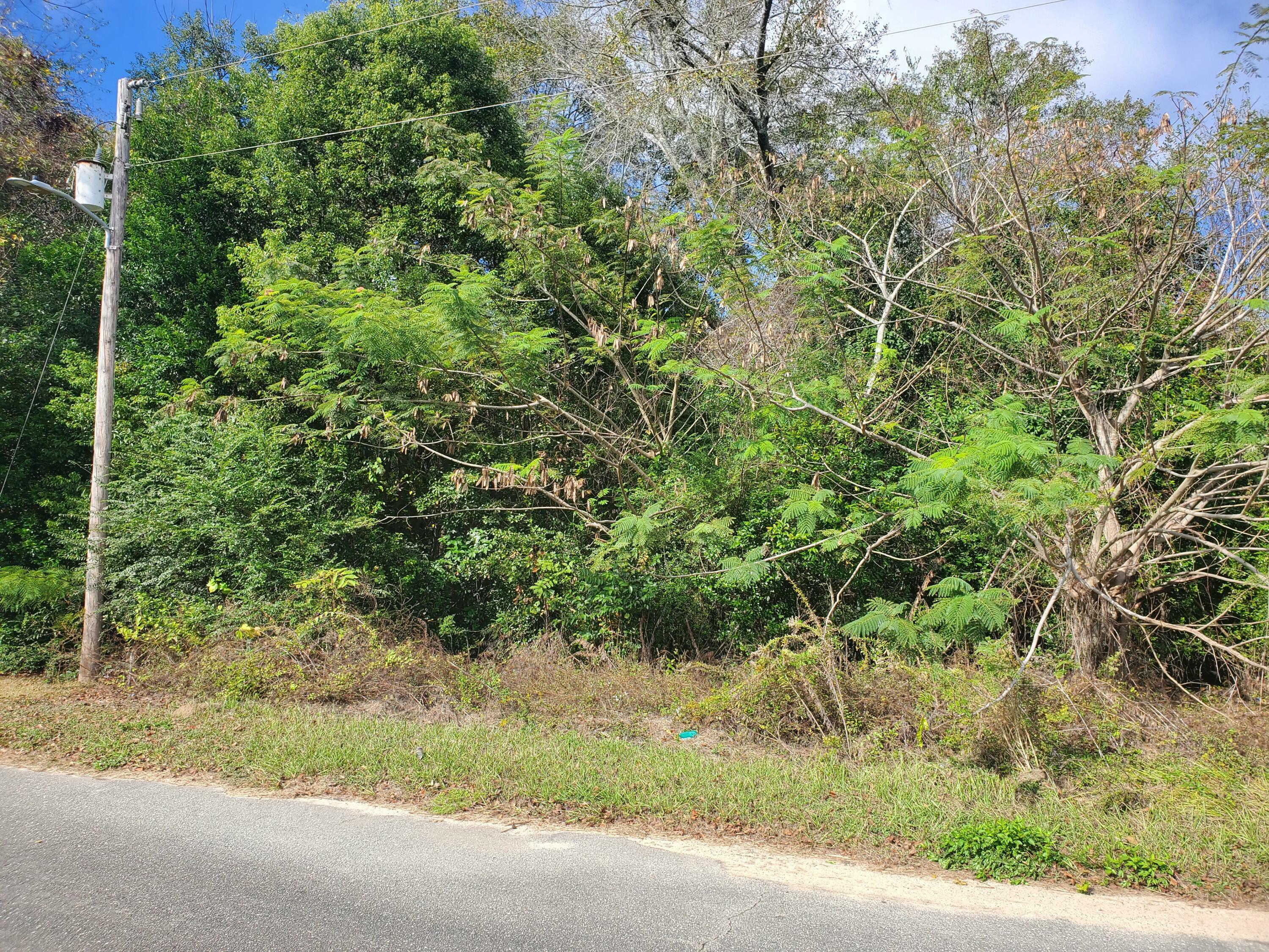 Property Photo:  Xxxx 6th Avenue  FL 32440 