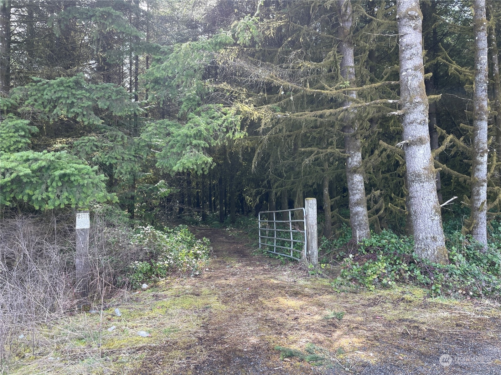 Property Photo: 0 Tennessee Road WA 98596