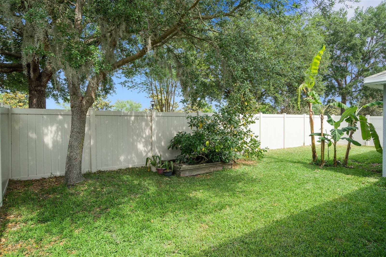 Property Photo:  11134 Ancient Futures Drive  FL 33647 