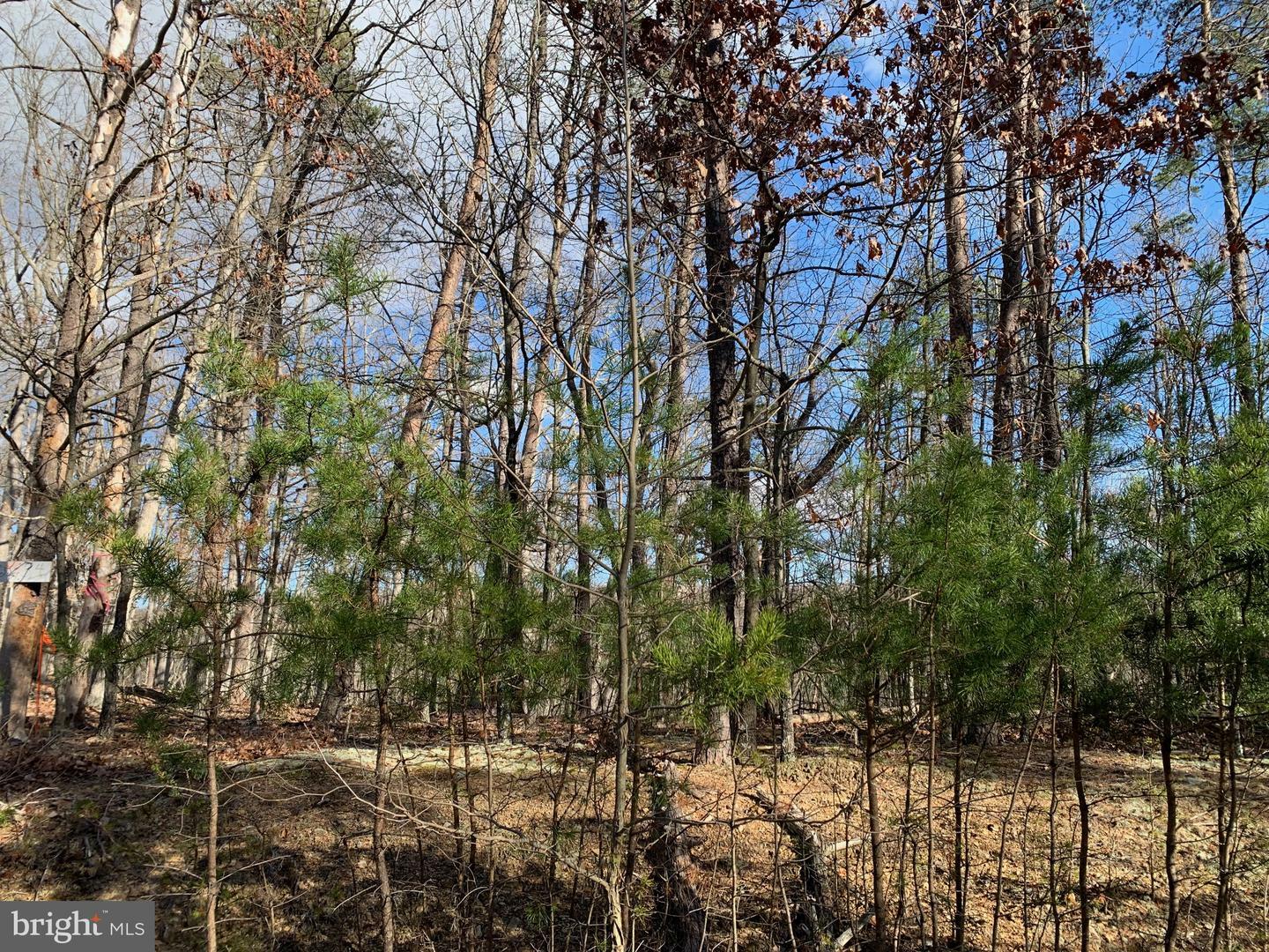 Property Photo:  Lot 4, Trillium Lane  VA 22625 