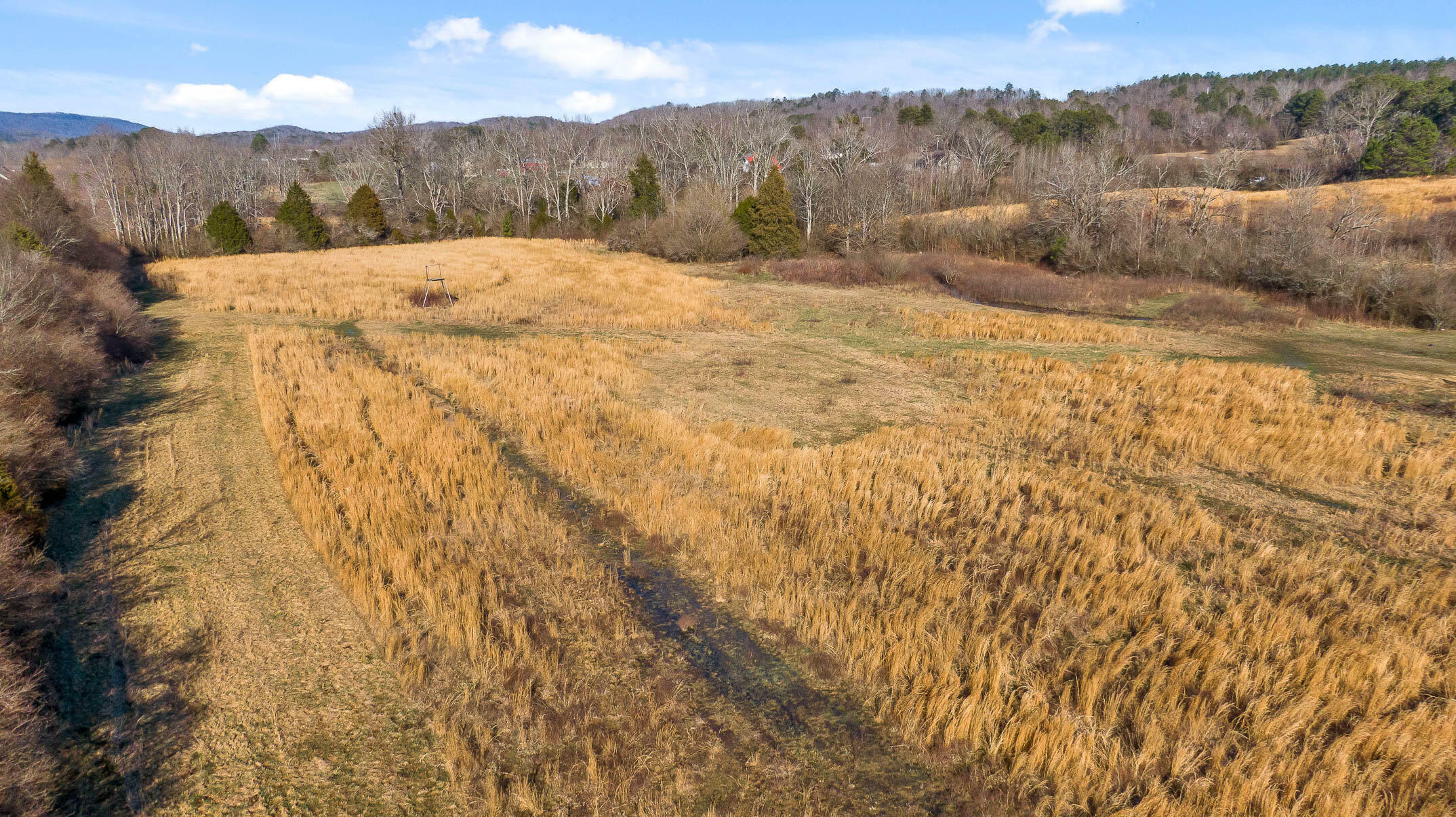 Property Photo:  3741 Bill Jones Rd  TN 37302 