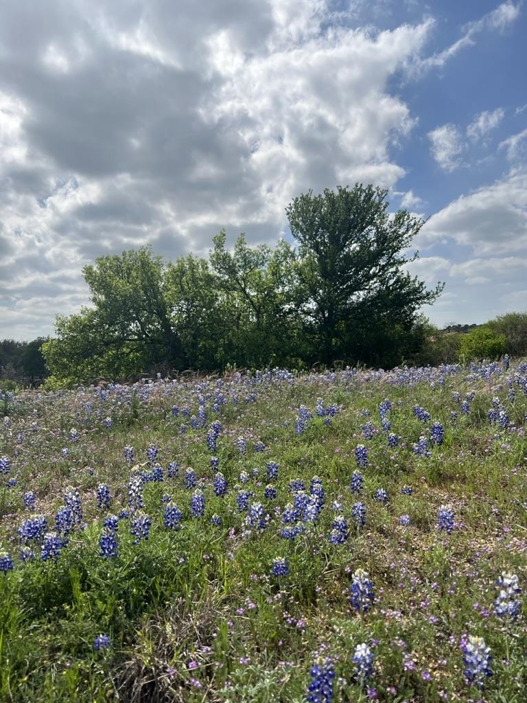 Property Photo:  Escondido Lot C-60 La Serena Loop  TX 78657 