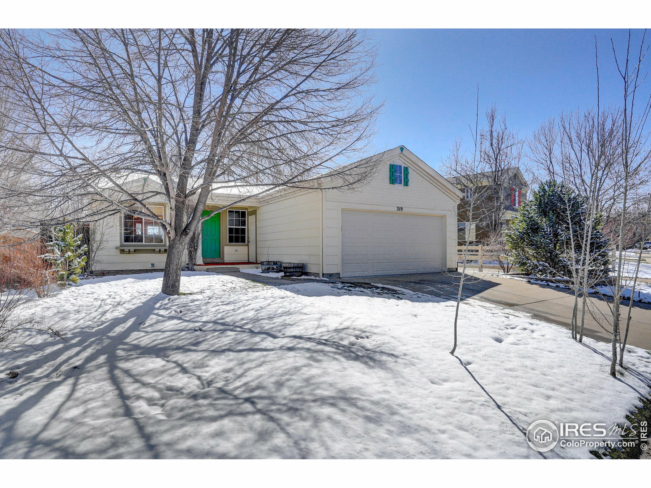 319 Tynan Dr  Erie CO 80516 photo