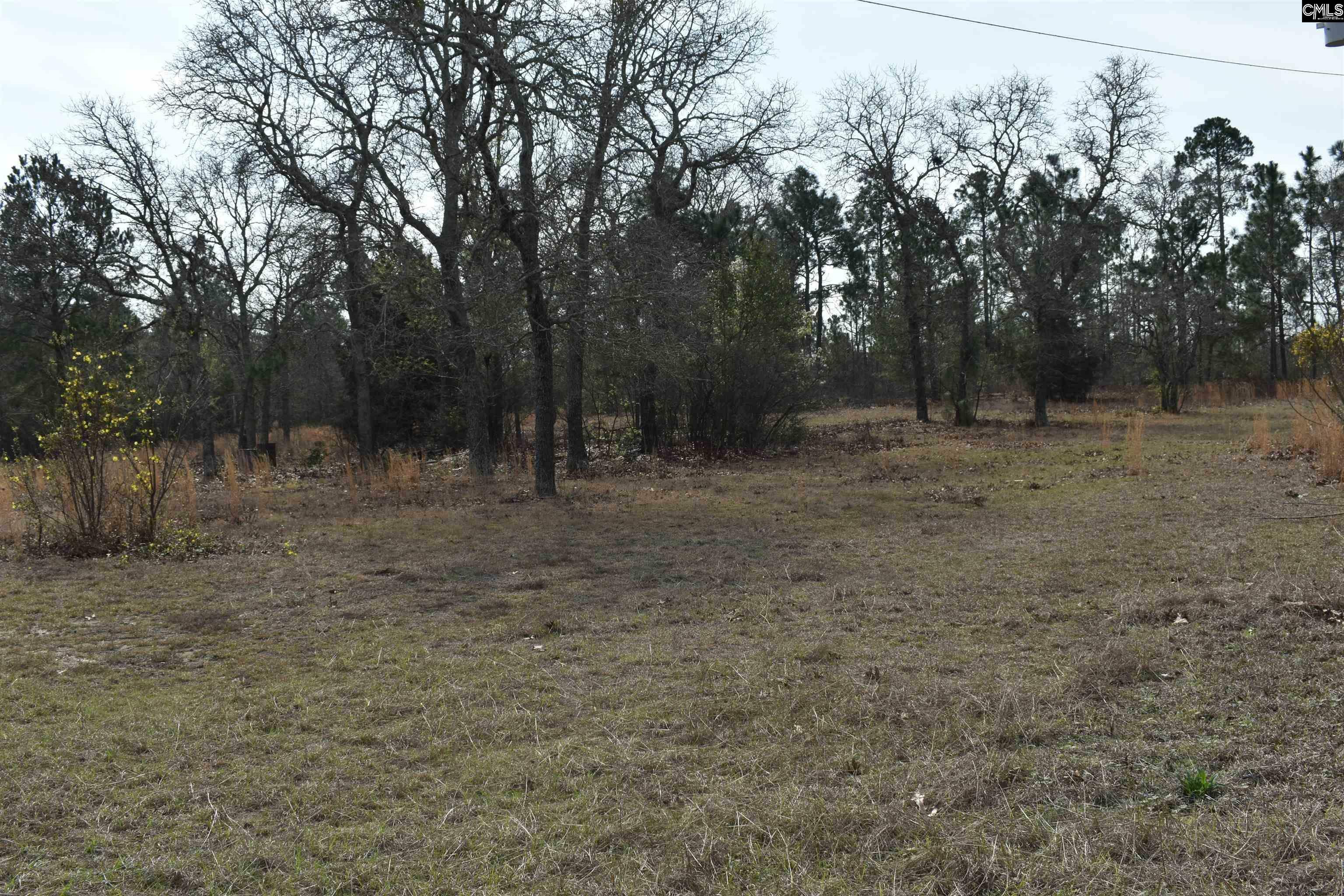 Property Photo: 136 Sandra SC 29123