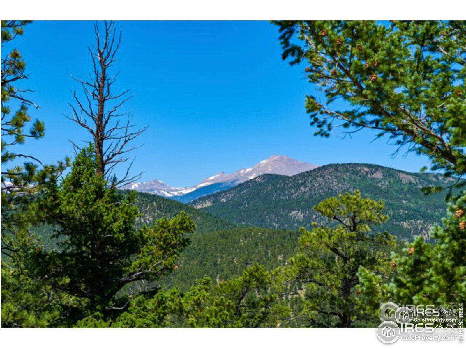 Property Photo:  948 Spruce Dr  CO 80540 
