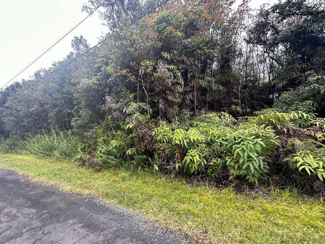 Property Photo:  Hibiscus St  HI 96771 