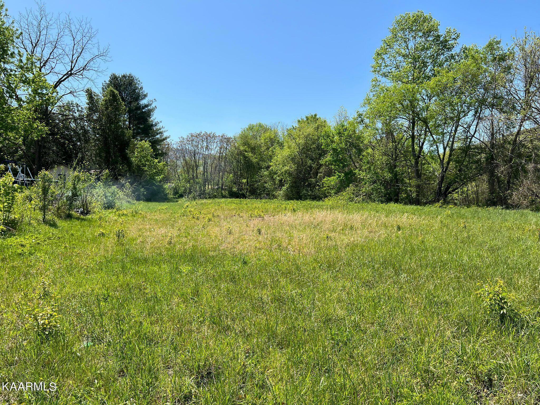 Property Photo:  Park Rd Lot A  TN 37714 