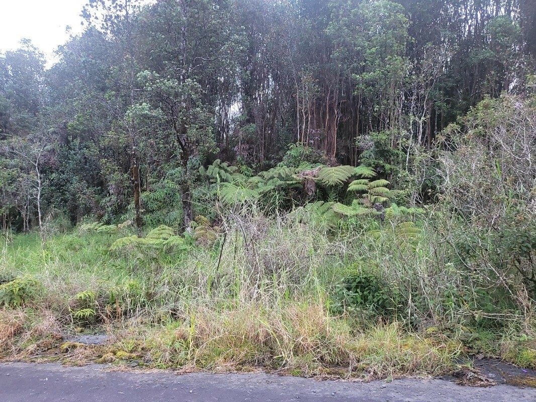 Property Photo:  Hulu St  HI 96785 