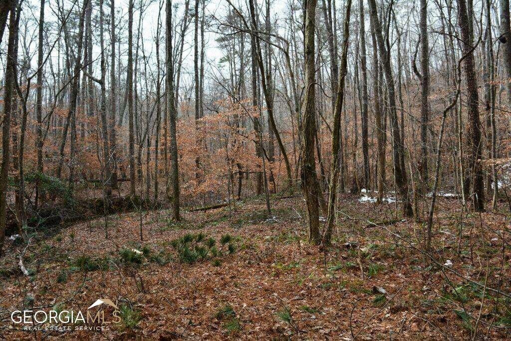 Property Photo:  0 Willow Springs Road  GA 30132 