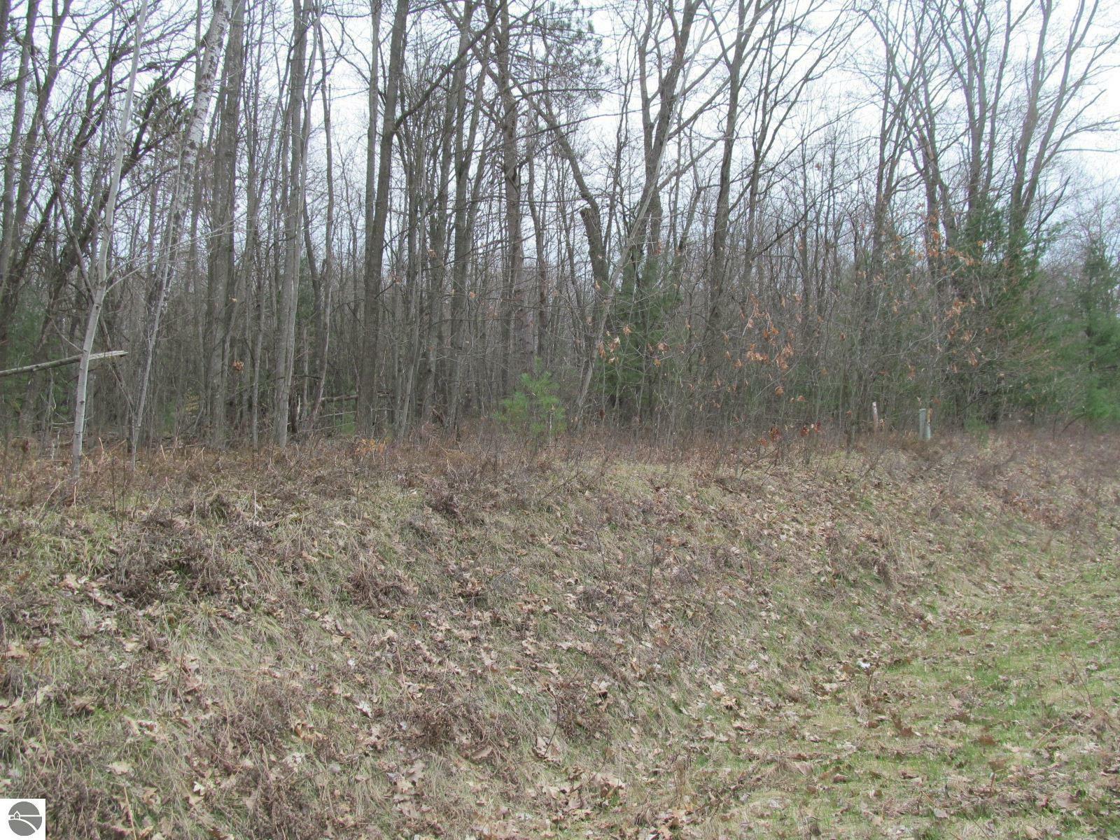 Property Photo:  Lot 23 River Woods Road River Woods Estates #2  MI 49651 