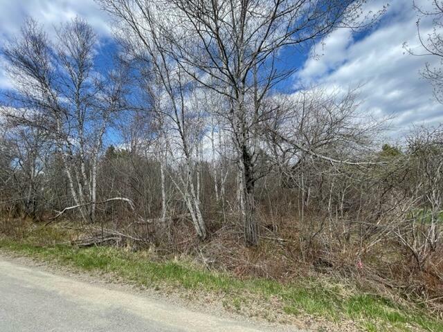 Lot F Mountain View Drive  Baileyville ME 04694 photo