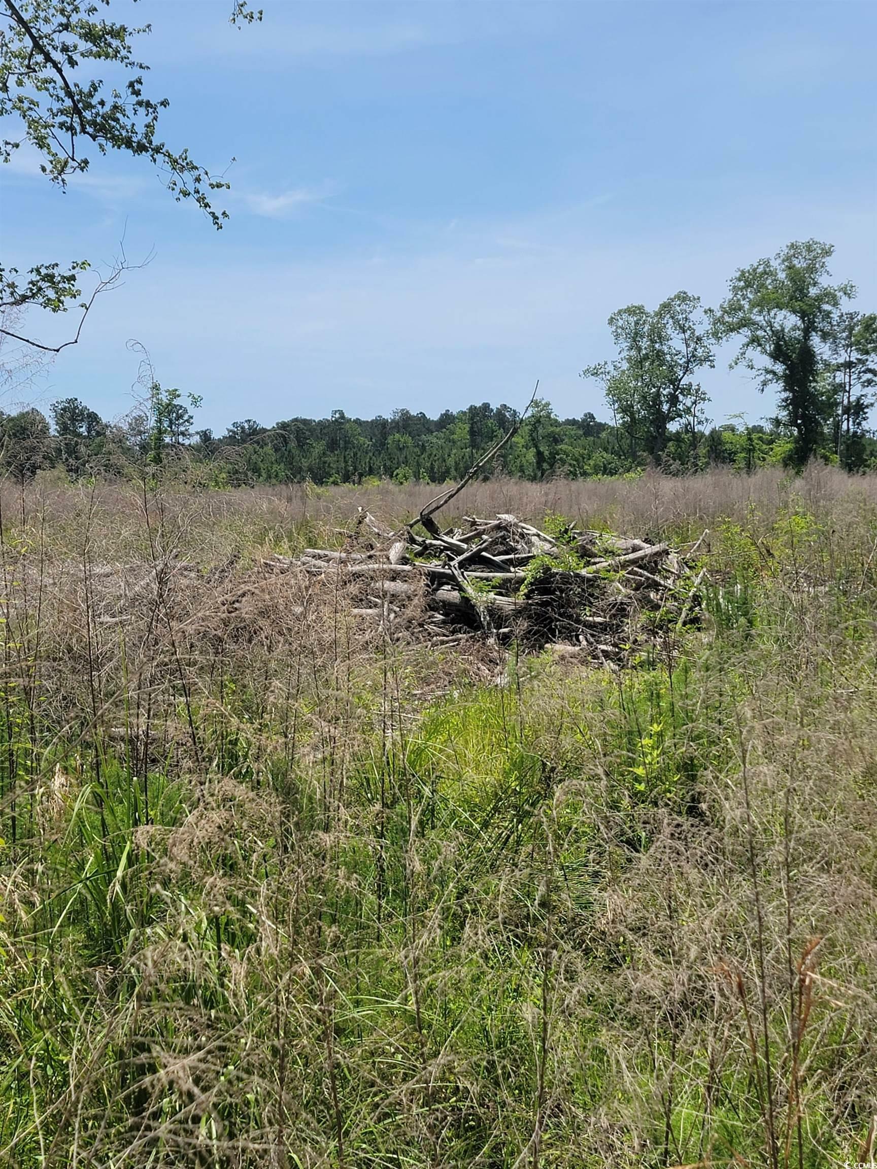 Property Photo:  Tract A Herbert Rd.  SC 29588 