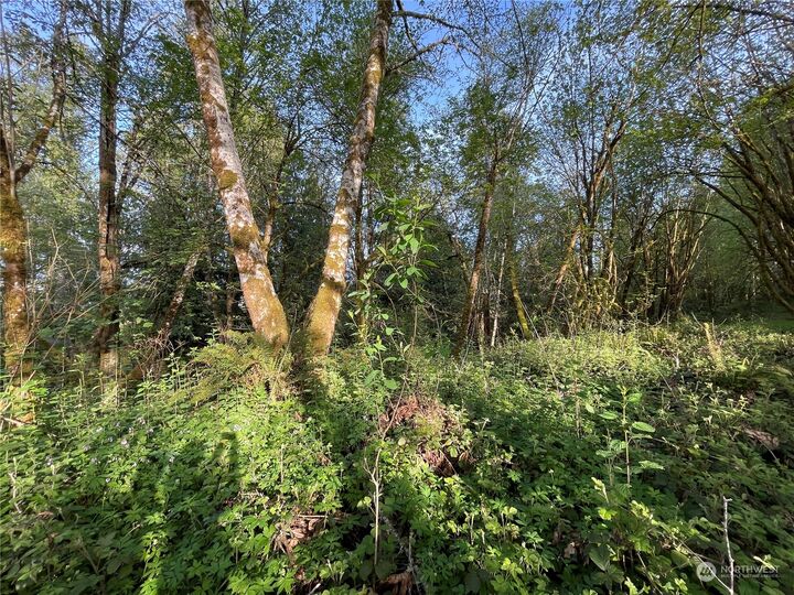 Property Photo:  0  Umiker Road  WA 98611 