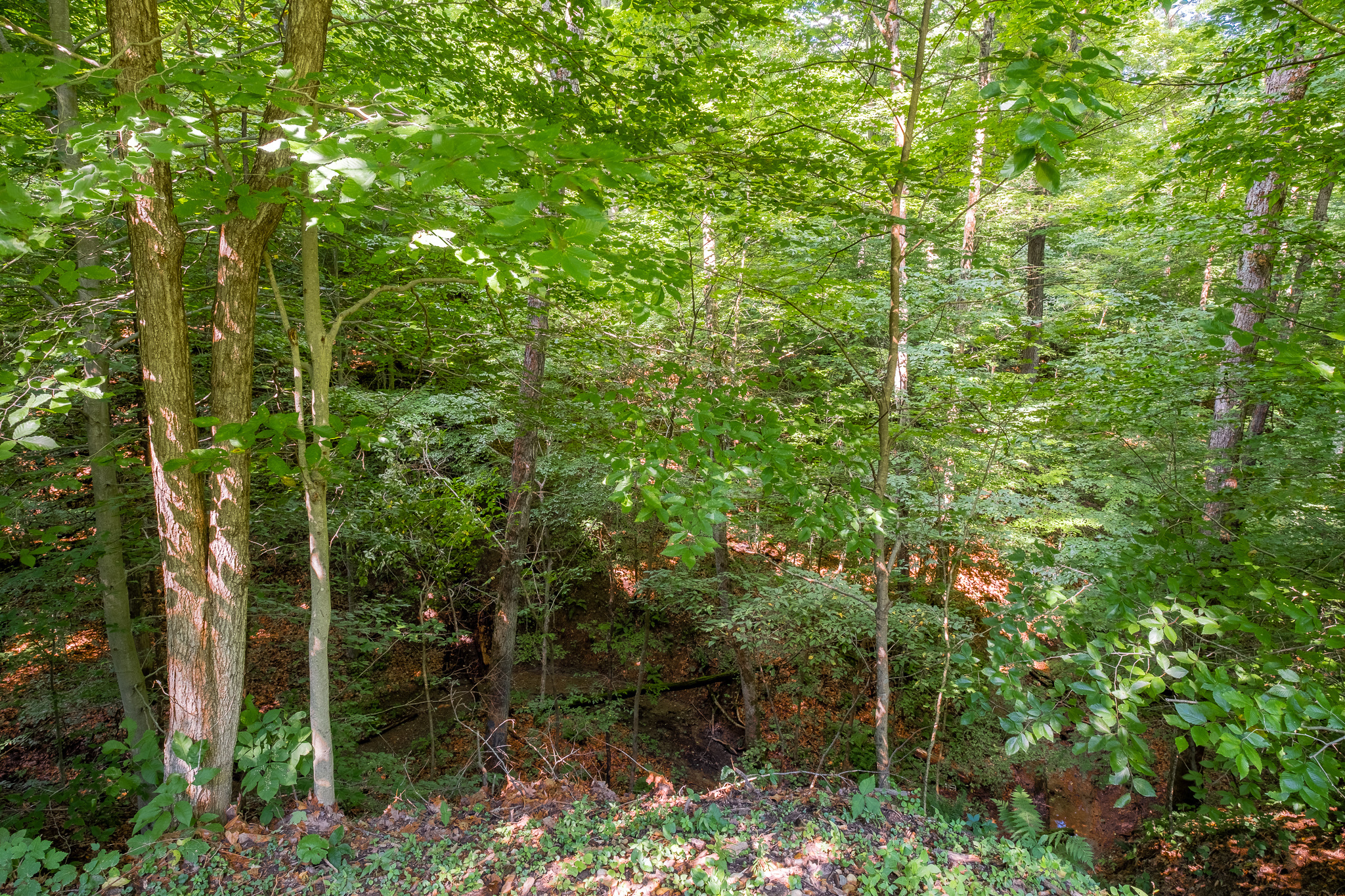 Property Photo: 2185 E County Road 20 N IN 47265
