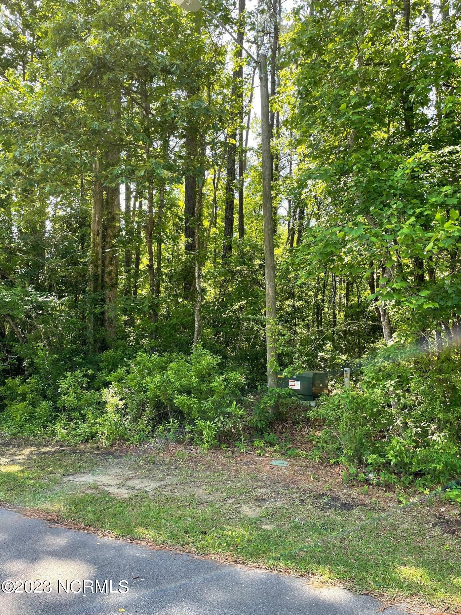 Property Photo:  234 Manchester Road  NC 28532 