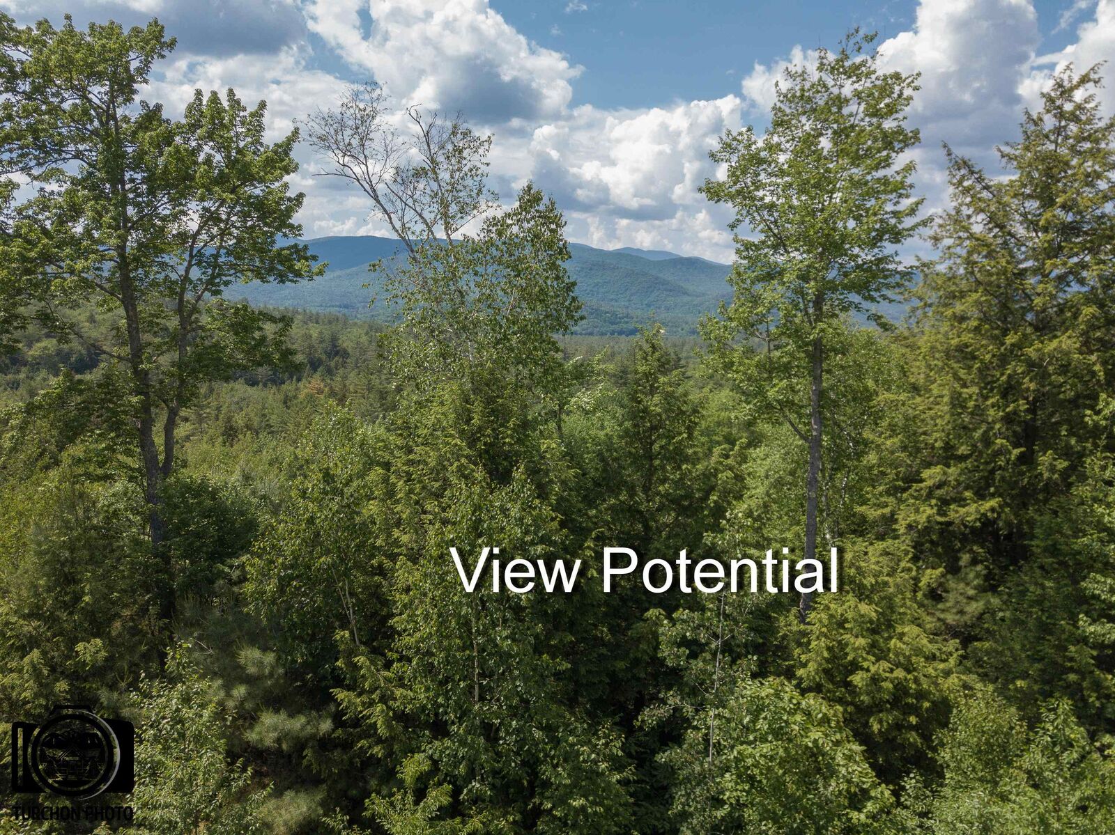 Property Photo: 20 Waterthorn Road 20 NH 03185