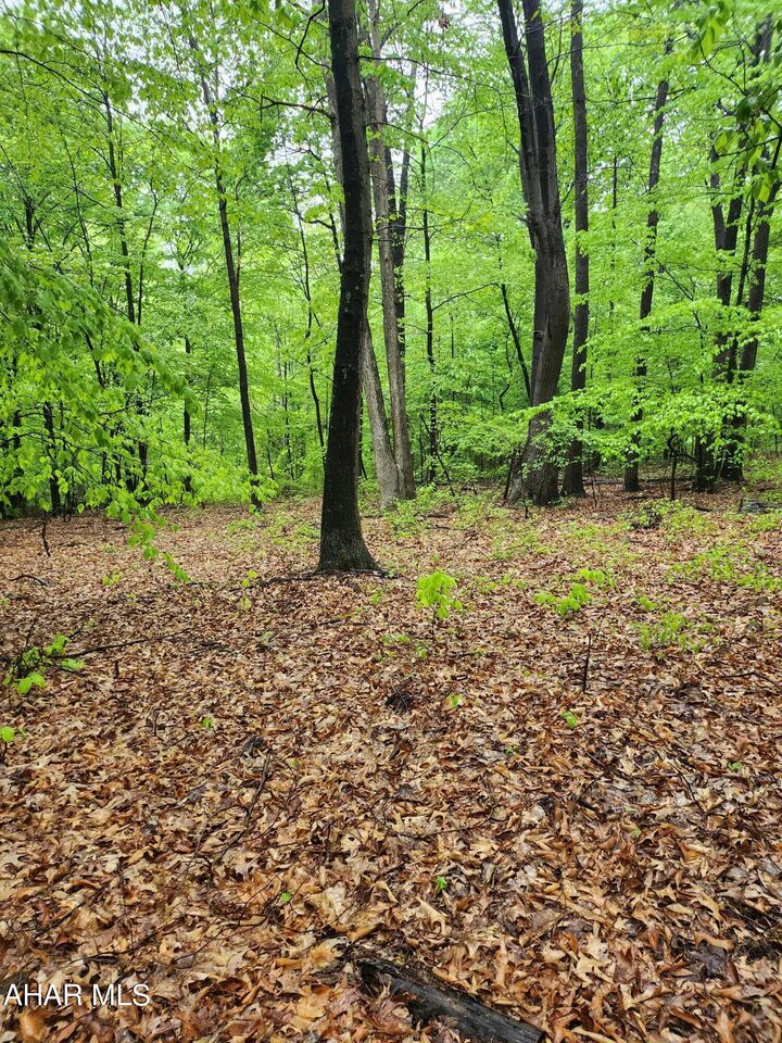 Property Photo: 0 Mosquito Hollow Road PA 16679