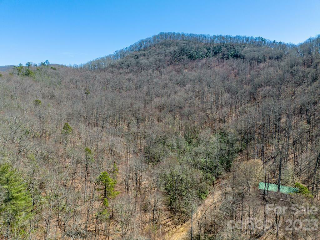 Property Photo:  000 Bee Branch Drive  NC 28734 
