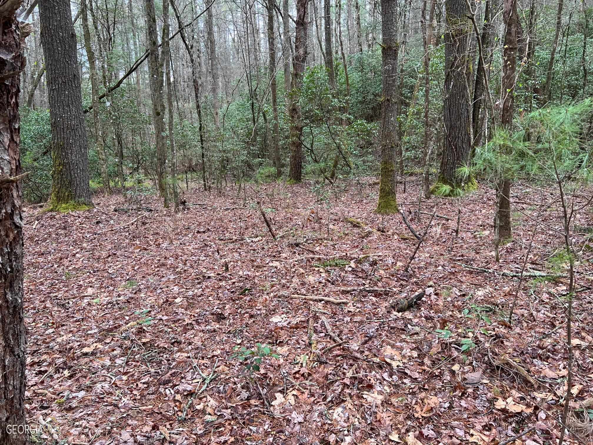 Property Photo:  000 Harrison Sluder Road  GA 30540 