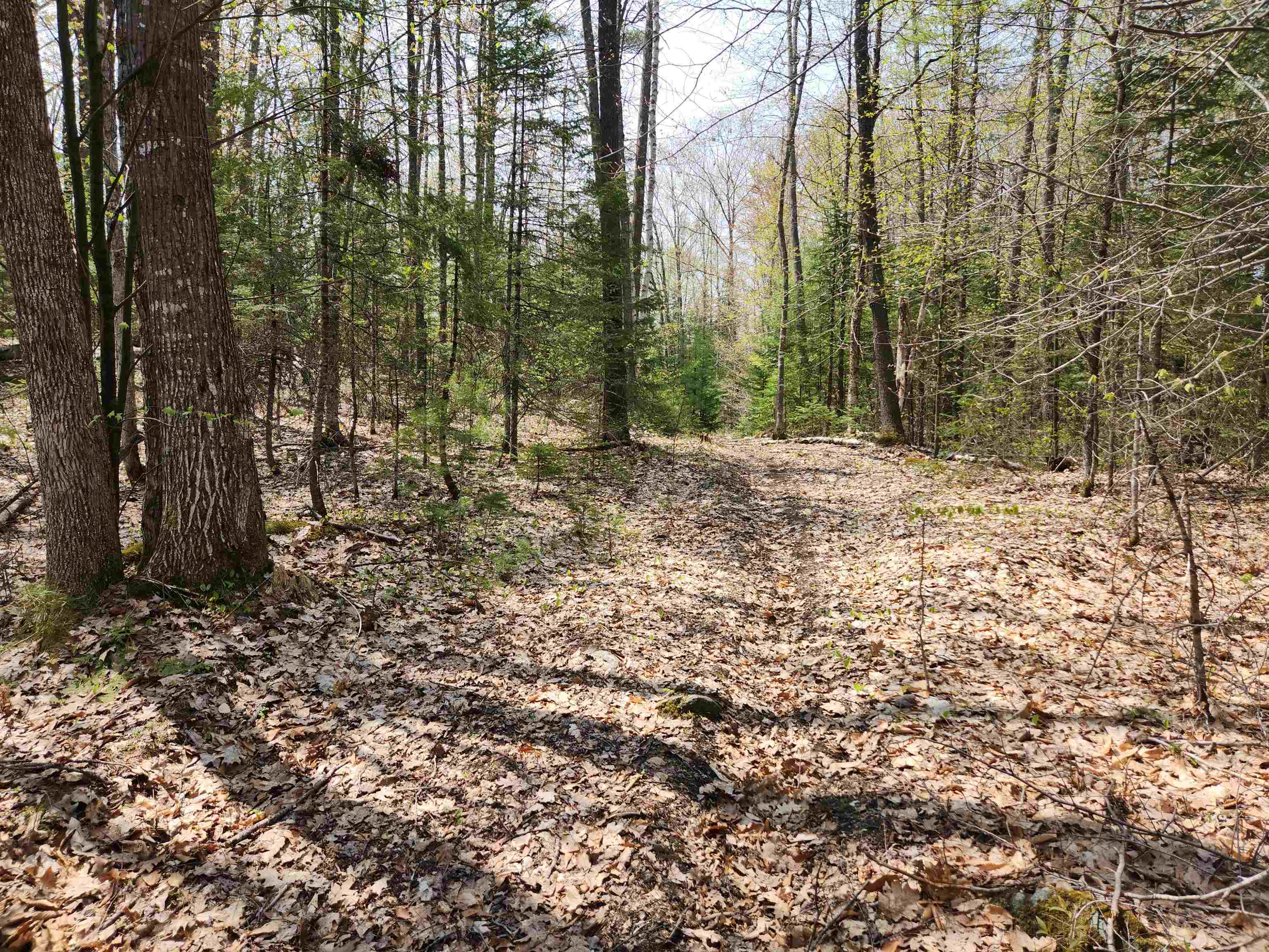 Property Photo:  000 Under The Mountain Road  NH 03585 