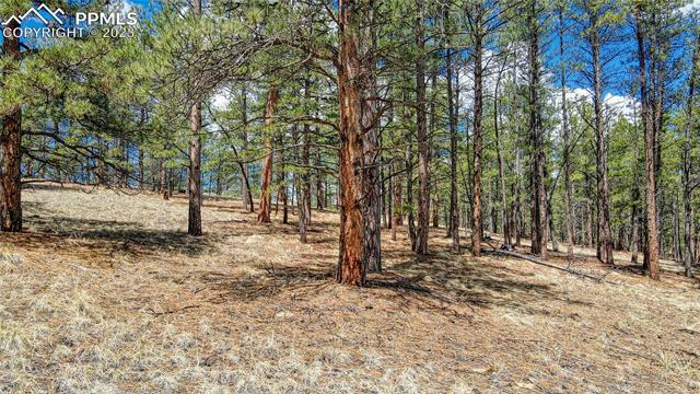 Property Photo: 301 Blue Mountain Drive CO 80816