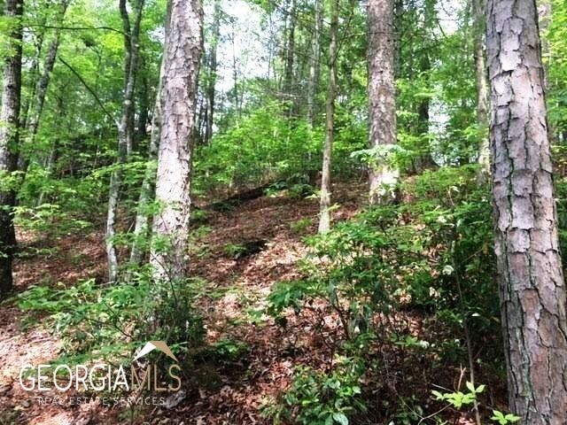 Property Photo: Lot 20 Magnolia Drive GA 30513