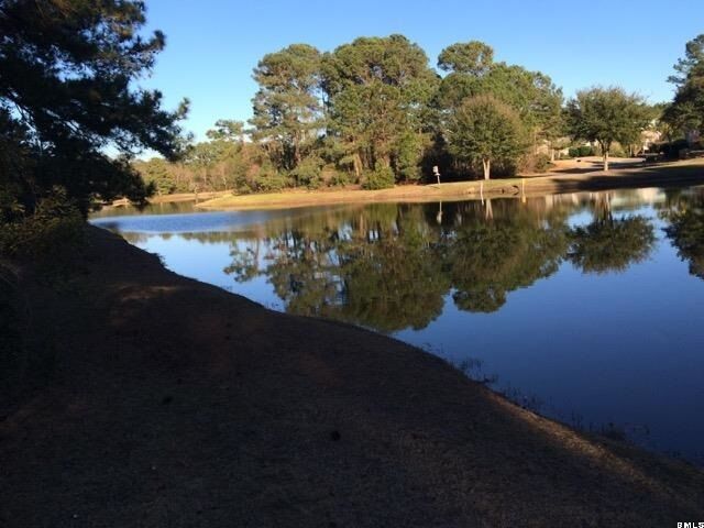 Property Photo:  1453 Gleasons Landing Drive  SC 29920 