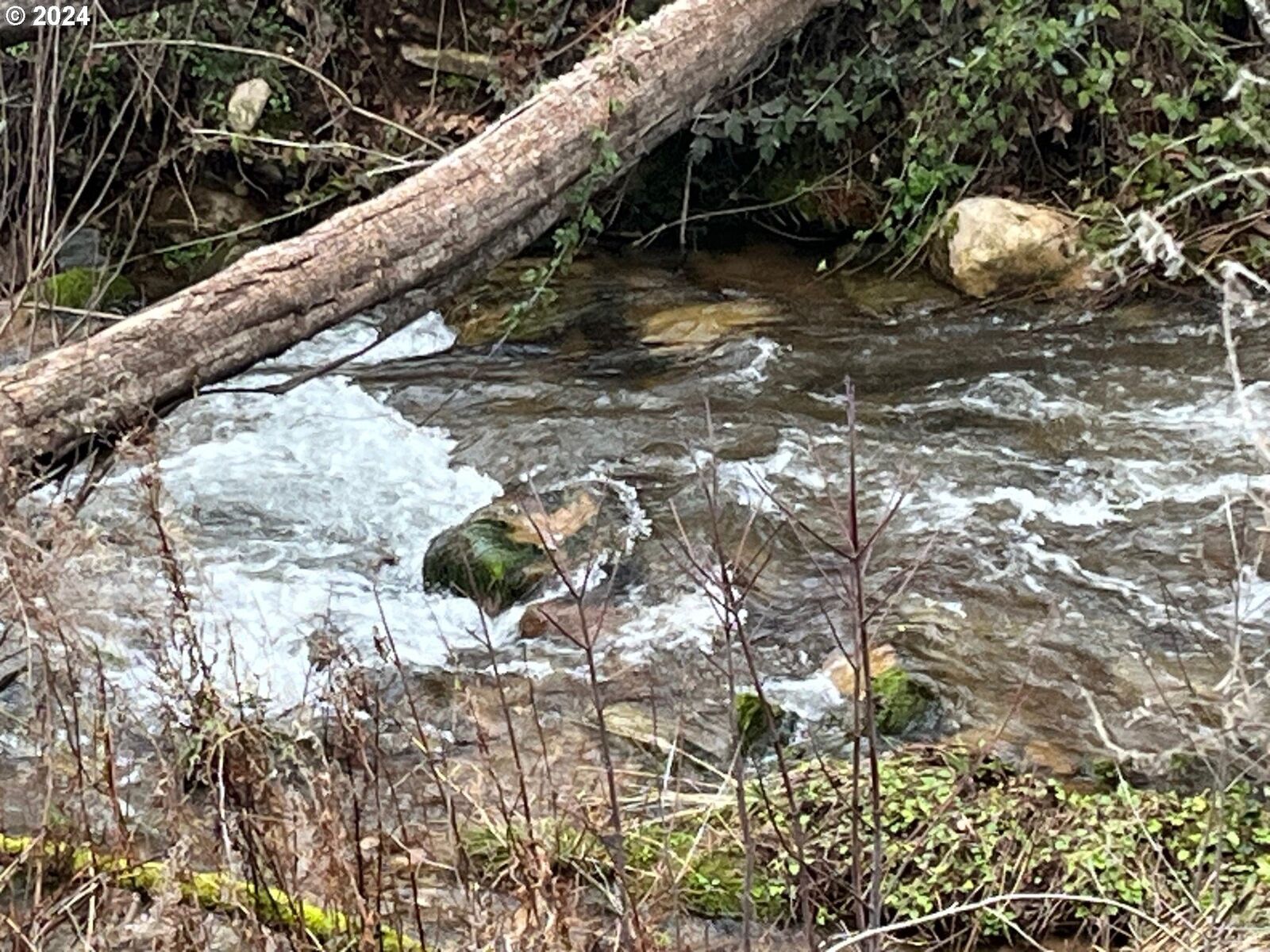 Property Photo:  47983 McKenzie Hwy  OR 97488 