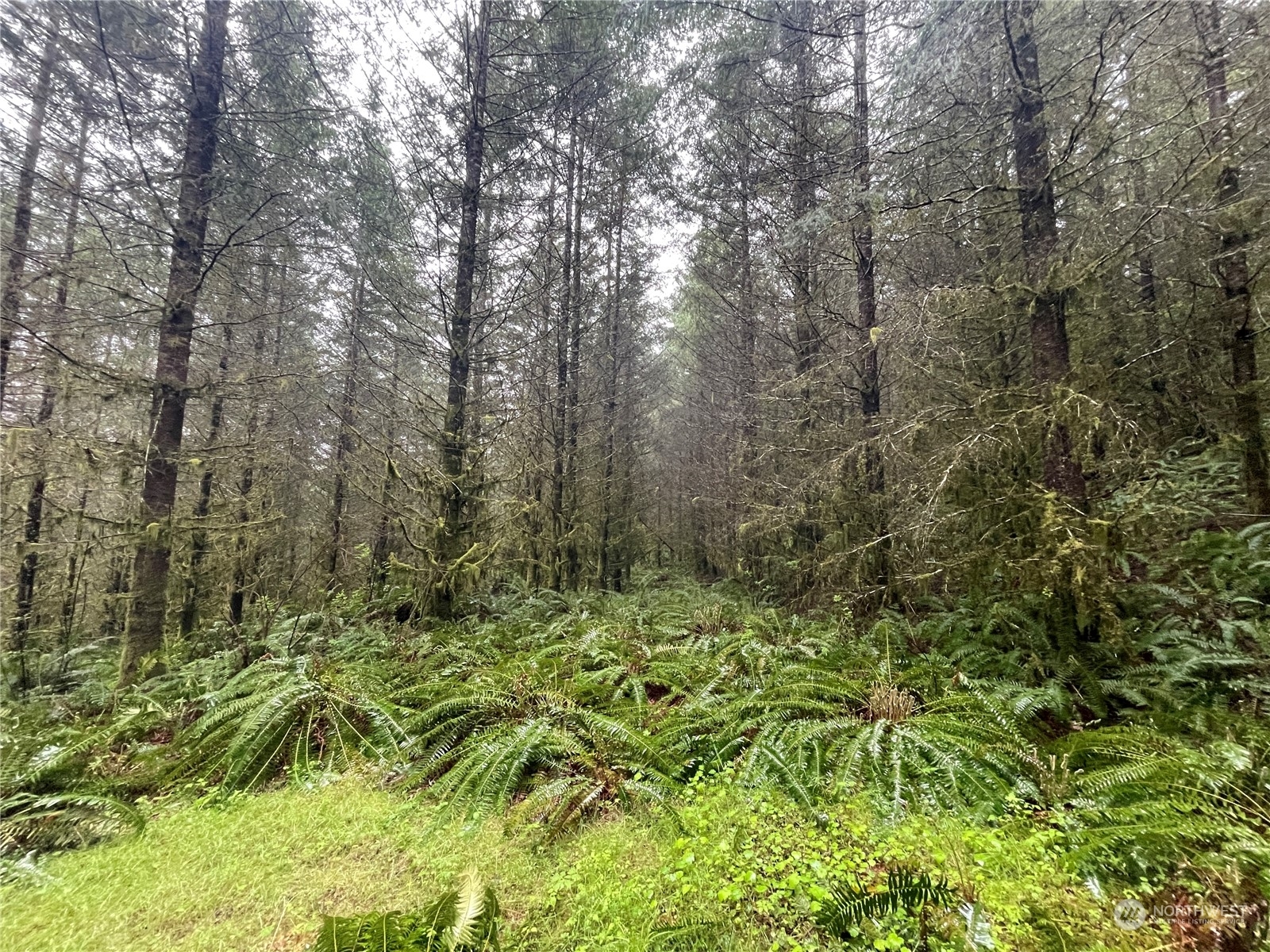 Property Photo:  0 Weyerhaeuser Road  WA 98625 