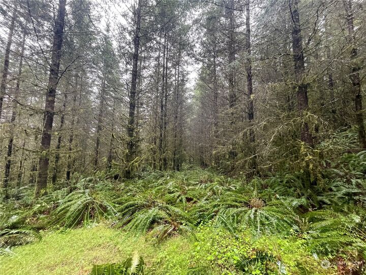 Property Photo: 0 Weyerhaeuser Road WA 98625
