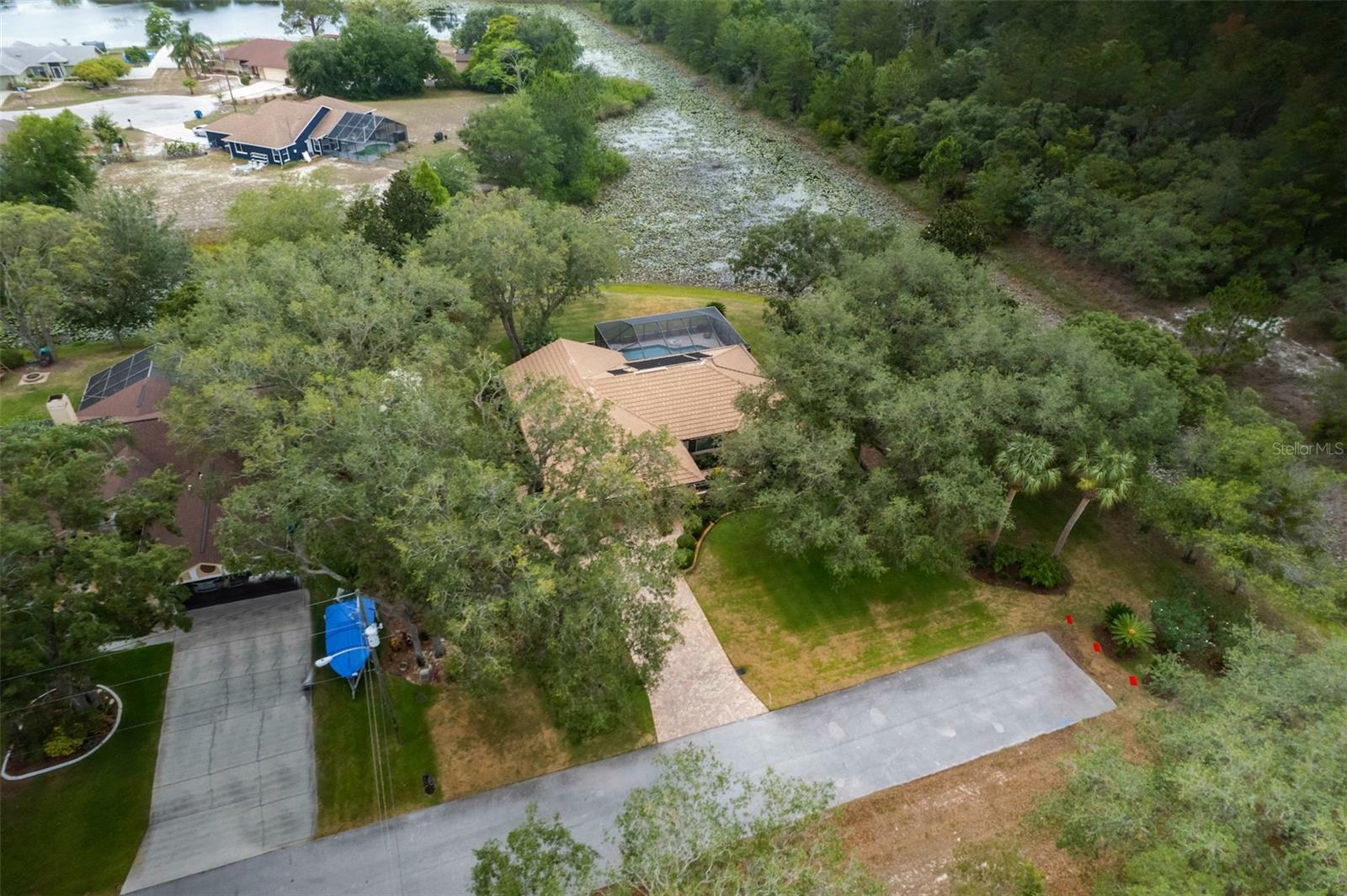 Property Photo:  373 Dan River Drive  FL 34606 