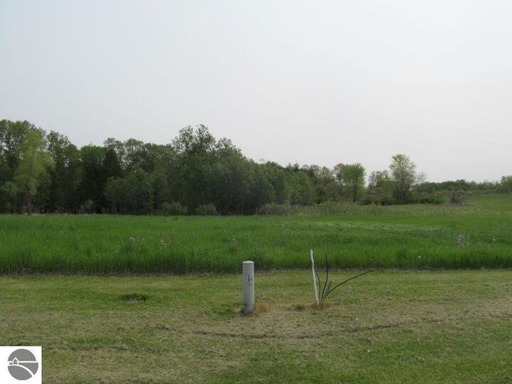 Property Photo:  Lot #9 Hemlock Street  MI 49657 