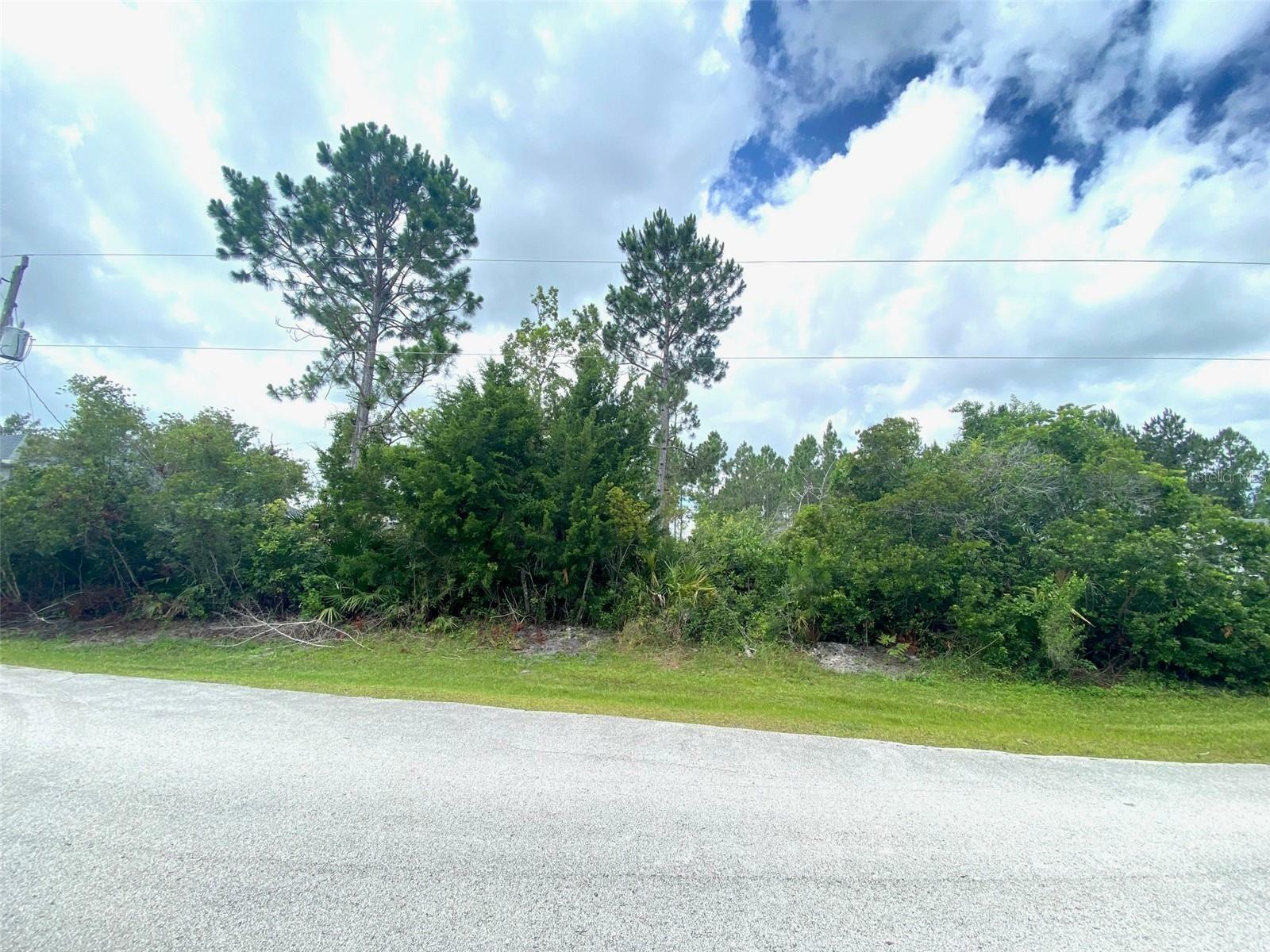 Property Photo:  39 Buttermilk Dr  FL 32137 