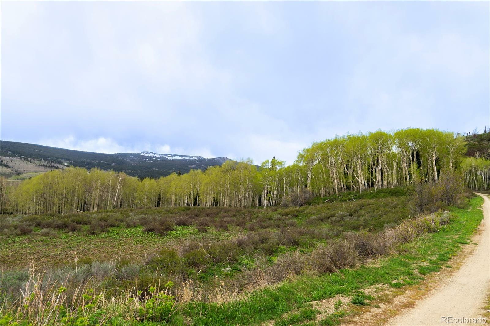 Property Photo: 521 County Road 284 CO 80459