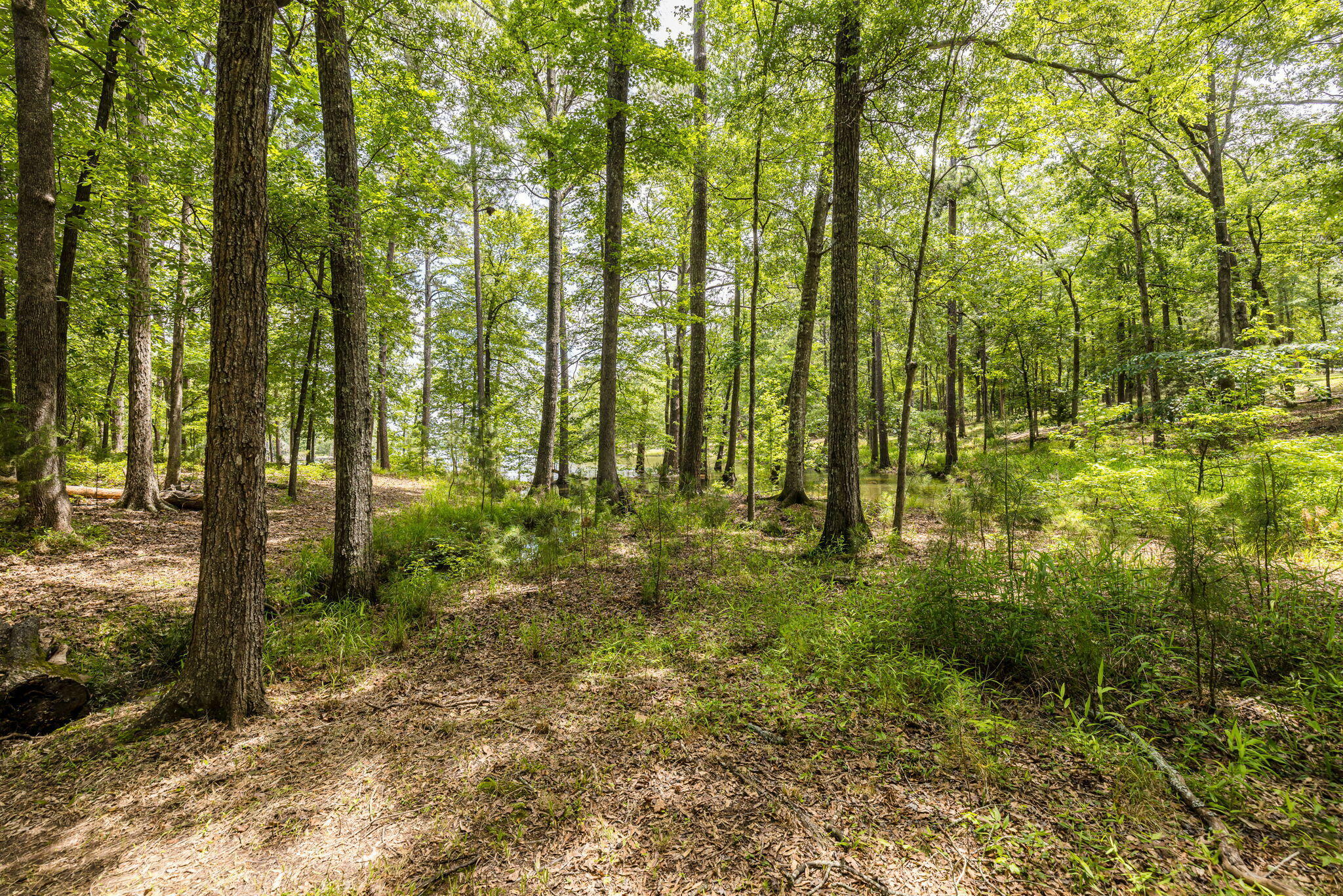 Property Photo:  1412 Wells Creek Drive  GA 30817 