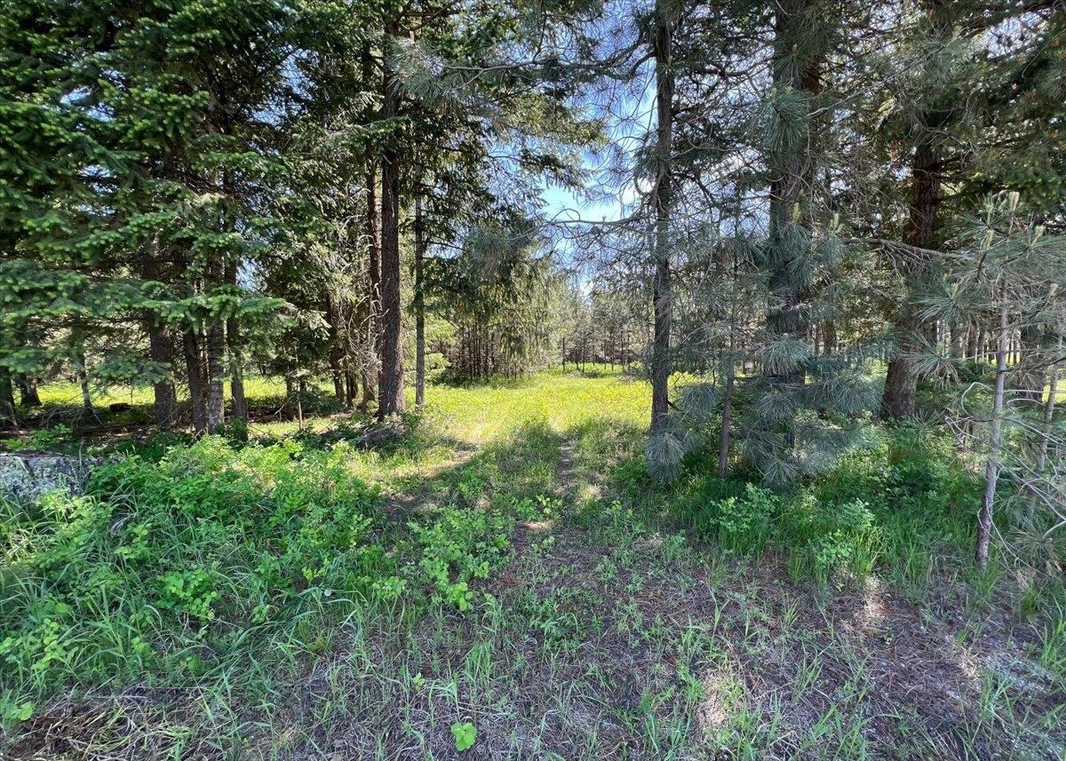 Property Photo: 00 W Owens Rd WA 99006