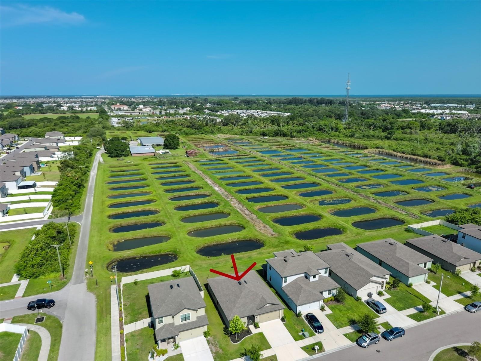 Property Photo: 1104 Wynnmere Meadow Place FL 33570