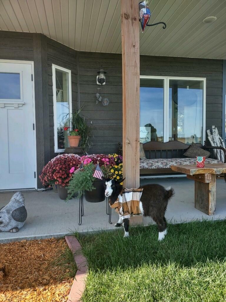 Property Photo: 6831 355th Avenue MN 56338